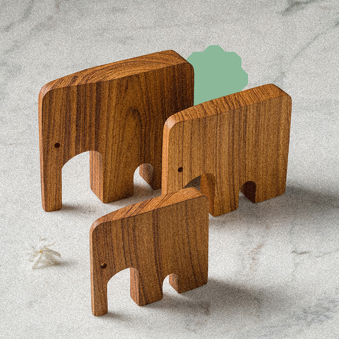 Herd_Elephant_Set.png